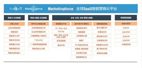 珍岛集团跻身工信部中小企业数字化赋能服务推荐目录，引领企业管理服务新篇章